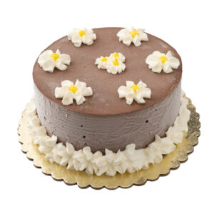 Creamy Chocolate Ice Cream Cake